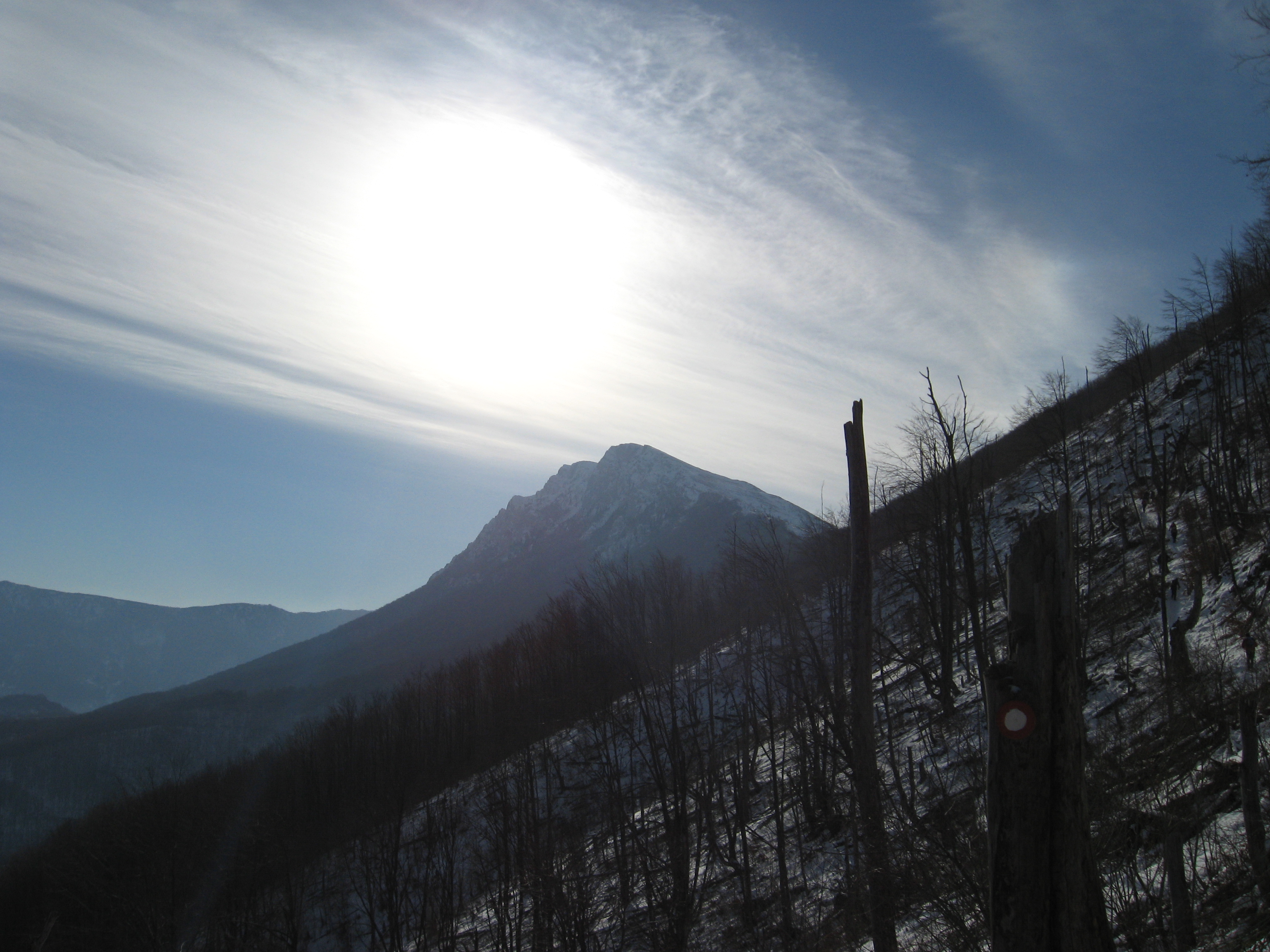 TREM (1810mnv) - Prolećni uspon